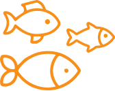 icon-warsztaty-fishes